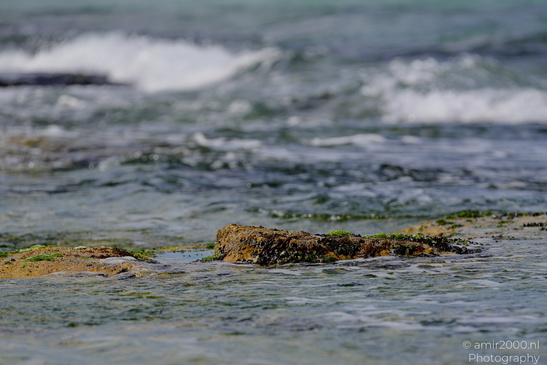 Tel-Aviv_Coast_And_The_Mediterranean_Sea_Israel_Nature_Photography_Canon_EOS_R5_Mark_II_2026_012.JPG