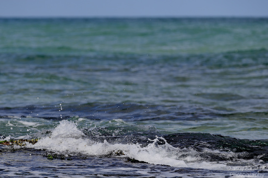 Tel-Aviv_Coast_And_The_Mediterranean_Sea_Israel_Nature_Photography_Canon_EOS_R5_Mark_II_2026_013.JPG