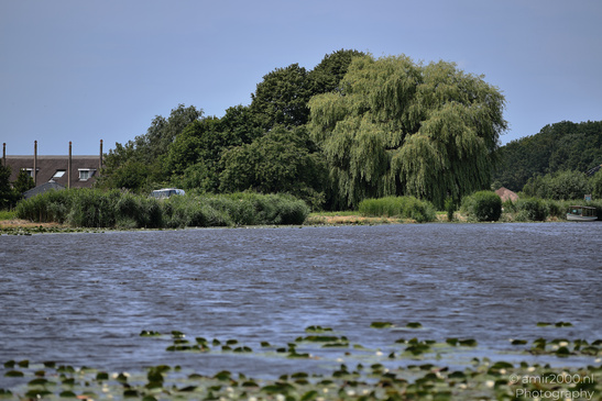 Amstel River includes rippled water, surface reflections, and calm light in Ouderkerk aan de Amstel, image from year 2026 #1