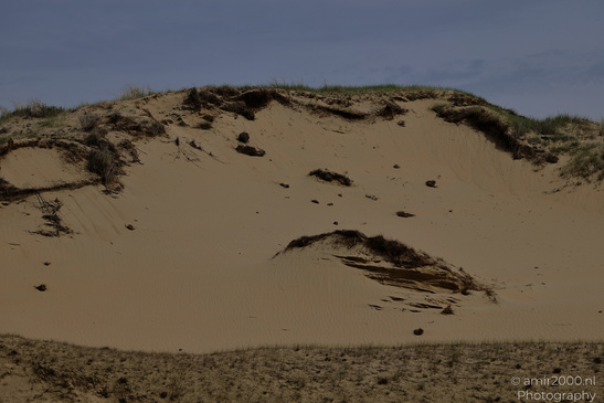 The_Dutch_Dunes_In_Zuid_Holland_Netherlands_Nature_Photography_Canon_EOS_R5_Mark_II_2026_001.JPG