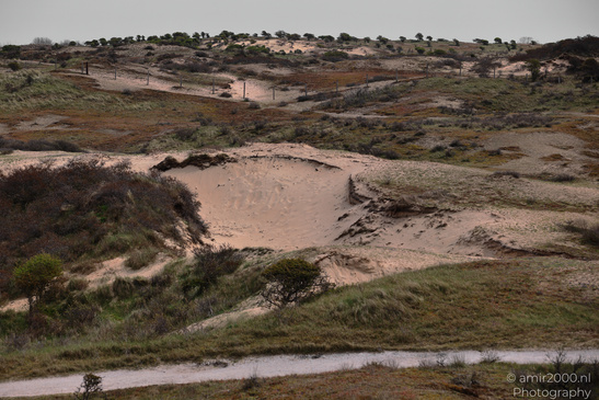 The_Dutch_Dunes_In_Zuid_Holland_Netherlands_Nature_Photography_Canon_EOS_R5_Mark_II_2026_003.JPG