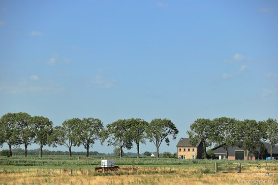 The_Dutch_Scenery_From_The_Road_Nature_Landscape_Netherlands_Nature_Photography_Canon_EOS_R5_Mark_II_2026_003.JPG
