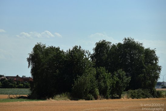 The_Dutch_Scenery_From_The_Road_Nature_Landscape_Netherlands_Nature_Photography_Canon_EOS_R5_Mark_II_2026_005.JPG