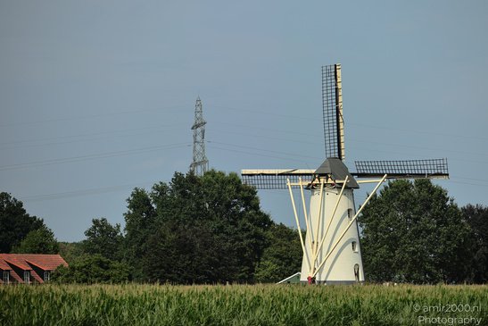 The_Dutch_Scenery_From_The_Road_Nature_Landscape_Netherlands_Nature_Photography_Canon_EOS_R5_Mark_II_2026_006.JPG