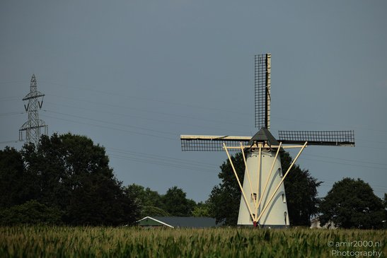 The_Dutch_Scenery_From_The_Road_Nature_Landscape_Netherlands_Nature_Photography_Canon_EOS_R5_Mark_II_2026_007.JPG