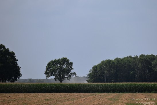 The_Dutch_Scenery_From_The_Road_Nature_Landscape_Netherlands_Nature_Photography_Canon_EOS_R5_Mark_II_2026_008.JPG