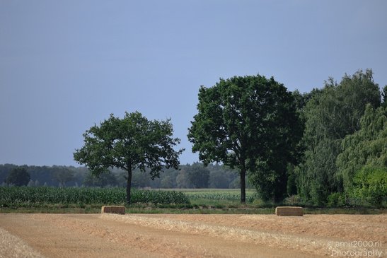 The_Dutch_Scenery_From_The_Road_Nature_Landscape_Netherlands_Nature_Photography_Canon_EOS_R5_Mark_II_2026_009.JPG