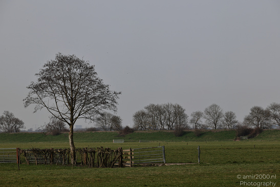 The_Fields_Around_Muiderslot_Muiden_Netherlands_Nature_Photography_Canon_EOS_R5_Mark_II_2026_003.JPG