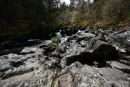 The_Hermitage_National_Trust_For_Scotland_Protected_Site_Forest_Scotland_United_Kingdom_Nature_Photography_Canon_EOS_R5_Mark_II_2026_008.JPG