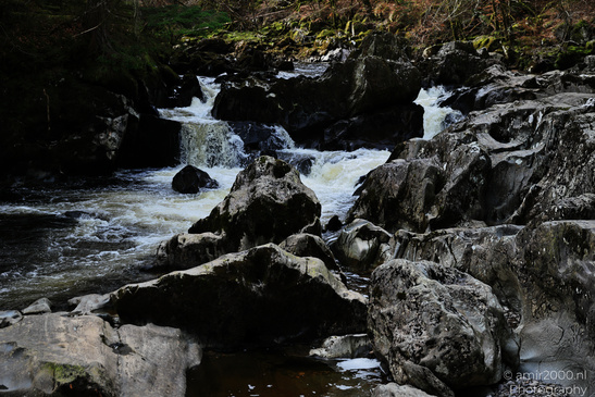 The_Hermitage_National_Trust_For_Scotland_Protected_Site_Forest_Scotland_United_Kingdom_Nature_Photography_Canon_EOS_R5_Mark_II_2026_009.JPG