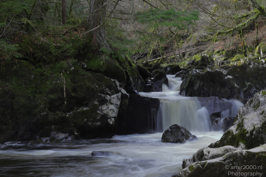 The_Hermitage_National_Trust_For_Scotland_Protected_Site_Forest_Scotland_United_Kingdom_Nature_Photography_Canon_EOS_R5_Mark_II_2026_010.JPG