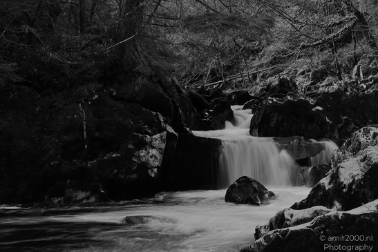 The_Hermitage_National_Trust_For_Scotland_Protected_Site_Forest_Scotland_United_Kingdom_Nature_Photography_Canon_EOS_R5_Mark_II_2026_011.JPG