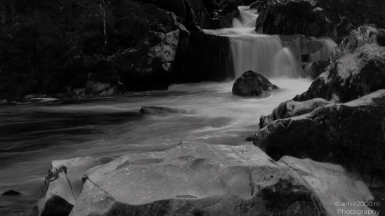 The_Hermitage_National_Trust_For_Scotland_Protected_Site_Forest_Scotland_United_Kingdom_Nature_Photography_Canon_EOS_R5_Mark_II_2026_012.JPG