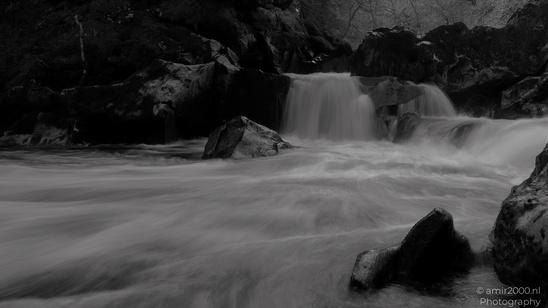 The_Hermitage_National_Trust_For_Scotland_Protected_Site_Forest_Scotland_United_Kingdom_Nature_Photography_Canon_EOS_R5_Mark_II_2026_013.JPG