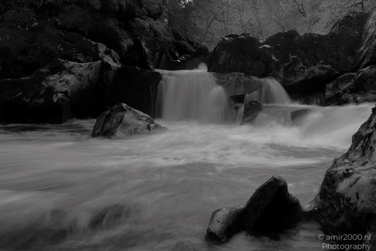 The_Hermitage_National_Trust_For_Scotland_Protected_Site_Forest_Scotland_United_Kingdom_Nature_Photography_Canon_EOS_R5_Mark_II_2026_014.JPG