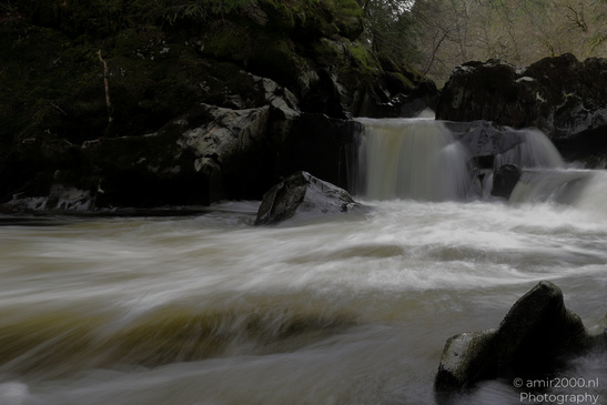 The_Hermitage_National_Trust_For_Scotland_Protected_Site_Forest_Scotland_United_Kingdom_Nature_Photography_Canon_EOS_R5_Mark_II_2026_015.JPG