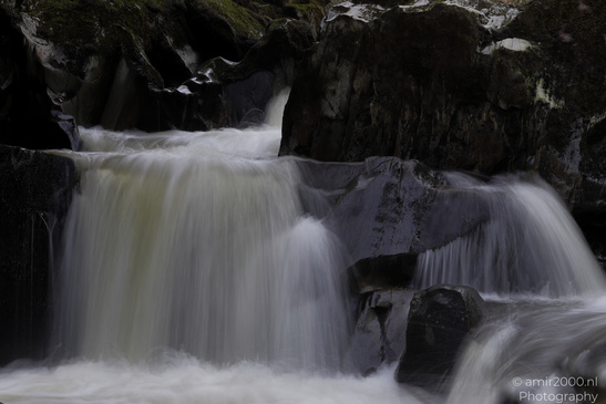 The_Hermitage_National_Trust_For_Scotland_Protected_Site_Forest_Scotland_United_Kingdom_Nature_Photography_Canon_EOS_R5_Mark_II_2026_016.JPG