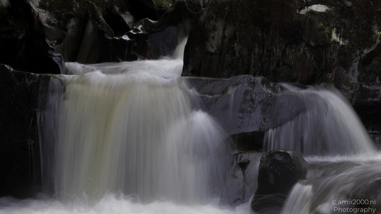 The_Hermitage_National_Trust_For_Scotland_Protected_Site_Forest_Scotland_United_Kingdom_Nature_Photography_Canon_EOS_R5_Mark_II_2026_017.JPG