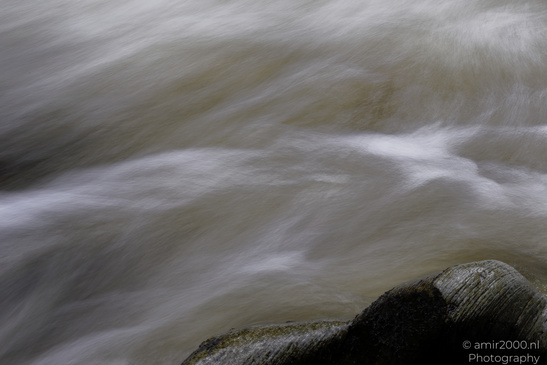 The_Hermitage_National_Trust_For_Scotland_Protected_Site_Forest_Scotland_United_Kingdom_Nature_Photography_Canon_EOS_R5_Mark_II_2026_018.JPG