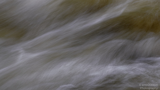 The_Hermitage_National_Trust_For_Scotland_Protected_Site_Forest_Scotland_United_Kingdom_Nature_Photography_Canon_EOS_R5_Mark_II_2026_019.JPG