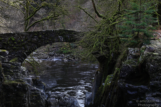 The_Hermitage_National_Trust_For_Scotland_Protected_Site_Forest_Scotland_United_Kingdom_Nature_Photography_Canon_EOS_R5_Mark_II_2026_022.JPG
