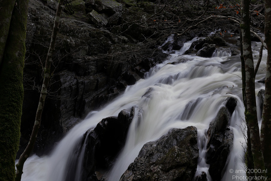 The_Hermitage_National_Trust_For_Scotland_Protected_Site_Forest_Scotland_United_Kingdom_Nature_Photography_Canon_EOS_R5_Mark_II_2026_023.JPG