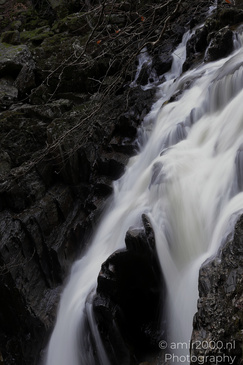 The_Hermitage_National_Trust_For_Scotland_Protected_Site_Forest_Scotland_United_Kingdom_Nature_Photography_Canon_EOS_R5_Mark_II_2026_024.JPG