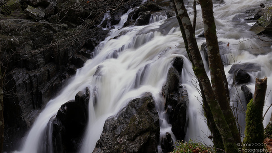 The_Hermitage_National_Trust_For_Scotland_Protected_Site_Forest_Scotland_United_Kingdom_Nature_Photography_Canon_EOS_R5_Mark_II_2026_025.JPG