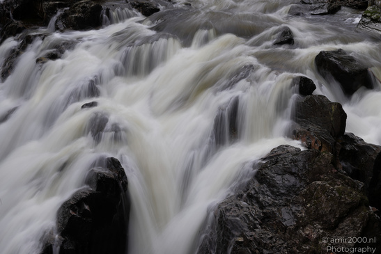 The_Hermitage_National_Trust_For_Scotland_Protected_Site_Forest_Scotland_United_Kingdom_Nature_Photography_Canon_EOS_R5_Mark_II_2026_027.JPG