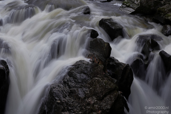 The_Hermitage_National_Trust_For_Scotland_Protected_Site_Forest_Scotland_United_Kingdom_Nature_Photography_Canon_EOS_R5_Mark_II_2026_028.JPG