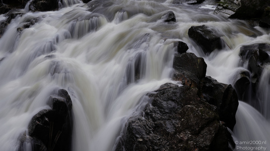 The_Hermitage_National_Trust_For_Scotland_Protected_Site_Forest_Scotland_United_Kingdom_Nature_Photography_Canon_EOS_R5_Mark_II_2026_029.JPG