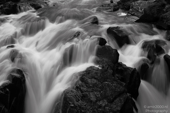 The_Hermitage_National_Trust_For_Scotland_Protected_Site_Forest_Scotland_United_Kingdom_Nature_Photography_Canon_EOS_R5_Mark_II_2026_030.JPG