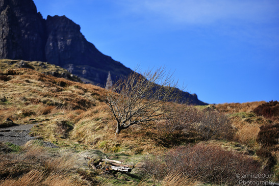 The_Old_Man_Of_Storr_In_The_Isle_Of_Skye_In_The_Scottish_Highlands_Scotland_United_Kingdom_Nature_Photography_Canon_EOS_R5_Mark_II_2026_012.JPG