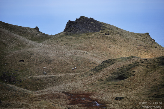 The_Old_Man_Of_Storr_In_The_Isle_Of_Skye_In_The_Scottish_Highlands_Scotland_United_Kingdom_Nature_Photography_Canon_EOS_R5_Mark_II_2026_067.JPG