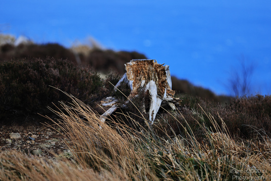 The_Old_Man_Of_Storr_In_The_Isle_Of_Skye_In_The_Scottish_Highlands_Scotland_United_Kingdom_Nature_Photography_Canon_EOS_R5_Mark_II_2026_109.JPG
