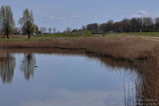 The_Scenery_Around_Vijfhuizen_Netherlands_Nature_Photography_Canon_EOS_R5_Mark_II_2026_002.JPG