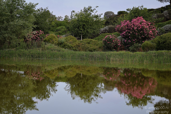 The_Scenery_Of_Ariel_Sharon_Park_Tel_Aviv_Jaffa_Israel_Nature_Photography_Canon_EOS_R5_Mark_II_2026_016.JPG