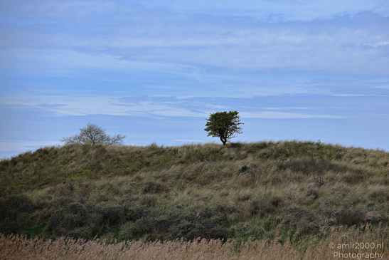 Through_The_Amsterdamse_Waterleidingduinen_In_Spring_Time_Noord_Holland_Netherlands_Nature_Photography_Canon_EOS_R5_Mark_II_2026_003.JPG
