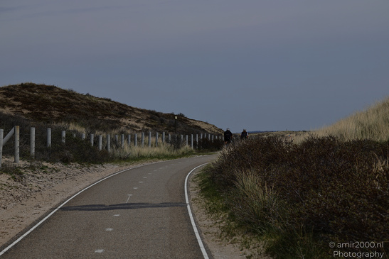 Through_The_Dunes_Of_Zuid_Holland_Netherlands_Nature_Photography_Canon_EOS_R5_Mark_II_2026_002.JPG