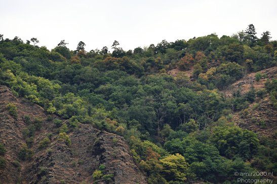 Vineyard_Rows_On_Mountain_Slope_Around_The_Moselle_Rhineland_Palatinate_Germany_Nature_Photography_Canon_EOS_R5_Mark_II_2026_002.JPG