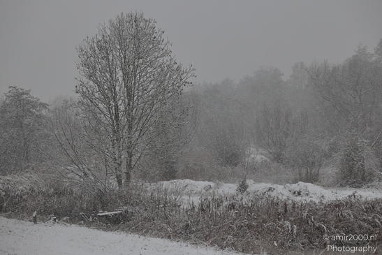 Winter_Frost_And_Snowy_Day_At_Westerpark_Amsterdam_Netherlands_Nature_Photography_Canon_EOS_R5_Mark_II_2026_003.JPG