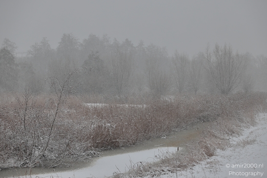 Winter_Frost_And_Snowy_Day_At_Westerpark_Amsterdam_Netherlands_Nature_Photography_Canon_EOS_R5_Mark_II_2026_010.JPG