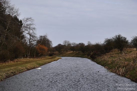 Winter_Scenery_In_Amsterdamse_Waterleidingduinen_Noord_Holland_Netherlands_Nature_Photography_Canon_EOS_R5_Mark_II_2026_001.JPG