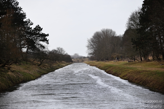 Winter_Scenery_In_Amsterdamse_Waterleidingduinen_Noord_Holland_Netherlands_Nature_Photography_Canon_EOS_R5_Mark_II_2026_002.JPG