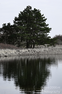 Winter_Scenery_In_Amsterdamse_Waterleidingduinen_Noord_Holland_Netherlands_Nature_Photography_Canon_EOS_R5_Mark_II_2026_004.JPG