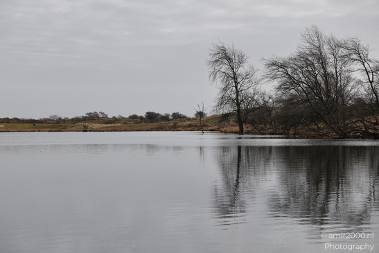 Winter_Scenery_In_Amsterdamse_Waterleidingduinen_Noord_Holland_Netherlands_Nature_Photography_Canon_EOS_R5_Mark_II_2026_005.JPG