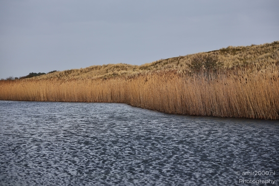 Winter_Scenery_In_Amsterdamse_Waterleidingduinen_Noord_Holland_Netherlands_Nature_Photography_Canon_EOS_R5_Mark_II_2026_006.JPG