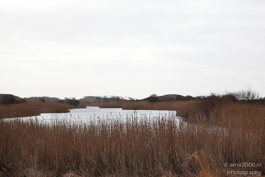 A winter landscape in the Amsterdamse Waterleidingduinen, showcasing a tranquil pond surrounded - image from year 2026 #009