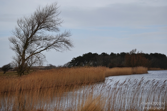 Across Noord Holland Netherlands, a winter landscape stretches over lowland grass under winter - image from year 2026 #010