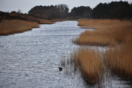 Near Noord Holland Netherlands, a winter landscape reveals muted winter tones across open - image from year 2026 #011